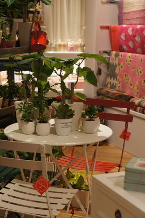 o0299045012449892681