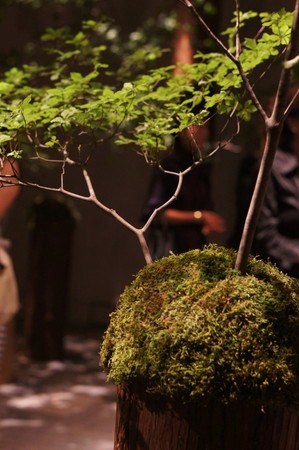 o0299045012200246069