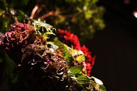 o0450029912200246068