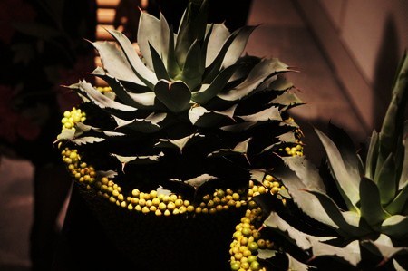 o0450029912200246067