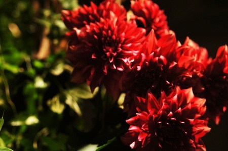 o0450029912200244752