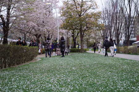 ミッドタウン桜ラウンジ_